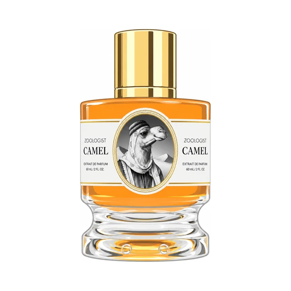 Zoologist Camel