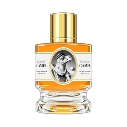 Zoologist Camel