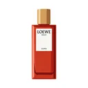 Loewe Solo Cedro