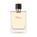 Hermes Terre D'Hermes EDT
