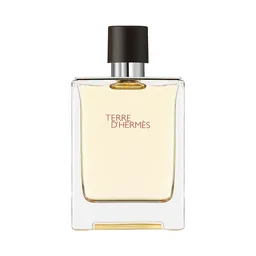 Hermes Terre D'Hermes EDT