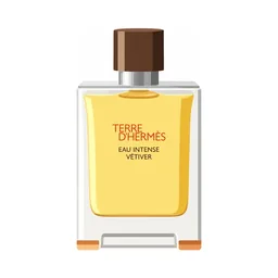 Hermes Terre D'Hermes Eau Intense Vetiver bottle