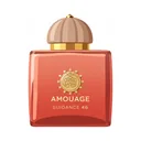 Amouage Guidance 46