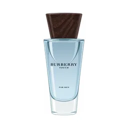Burberry Touch for Men